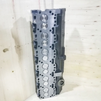 Cylinder head assembly 3973493 (1)